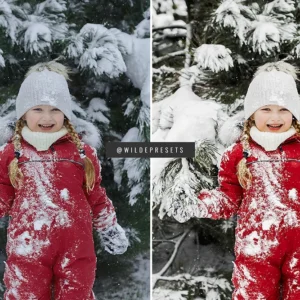 The Winter Magic Collection — 10 пресетов для Lightroom